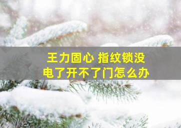 王力固心 指纹锁没电了开不了门怎么办